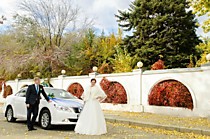 На свадьбу - лучшее, да еще и по доступной цене! Свадебный кортеж Волгоград - оформим Ваш праздник в лучшем виде!