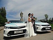 Заказ автомобилей на свадьбу в компании с десятилетним стажем успешной работы на рынке Волгограда - первый шаг к счастливой семейной жизни!