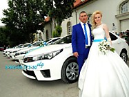 Нас Выбирают! Свадебный кортеж Волгоград - сплоченный коллектив с девятилетним стажем успешной работы! Машины и украшения на свадебные авто для Вас!